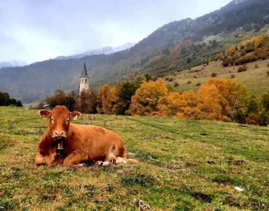 Mcastet, Casita Aranesa En El Valle De Aran