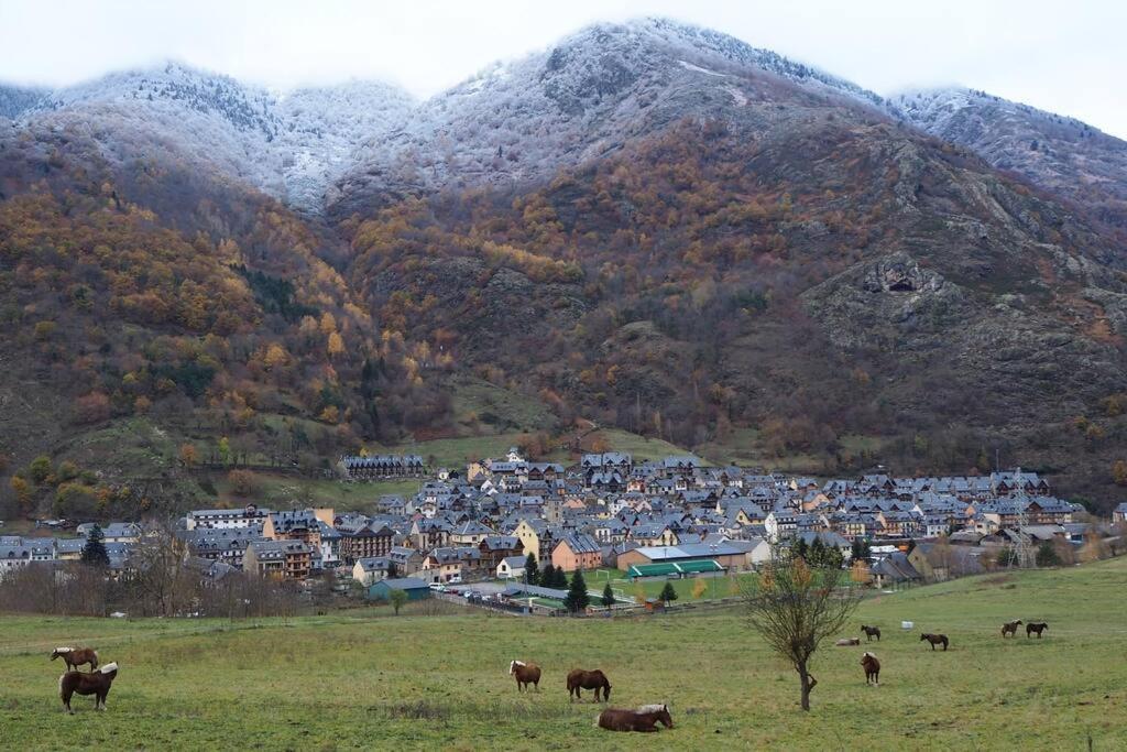Mcastet, Casita Aranesa En El Valle De Aran Holiday home *
